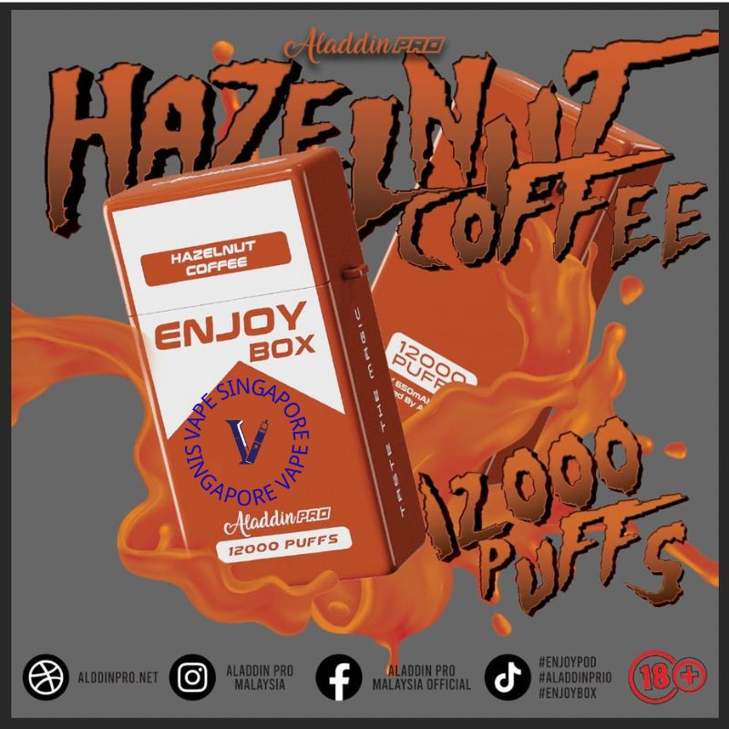 Aladdin Pro Enjoy Box 12,000 puff - Vape Singapore SG Vape