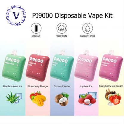Elf Bar PI 9000 Puff Disposable Vape (Elf Bar BC) - Vape Singapore SG Vape