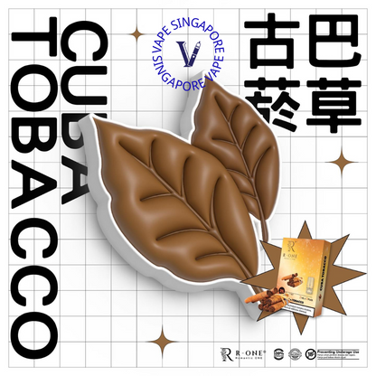 R-one Pod - Vape Singapore SG Vape