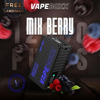 Vapeboxx 12000 Puff - Vape Singapore SG Vape